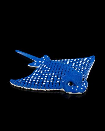 Igor, The Spotted Eagle Manta Ray